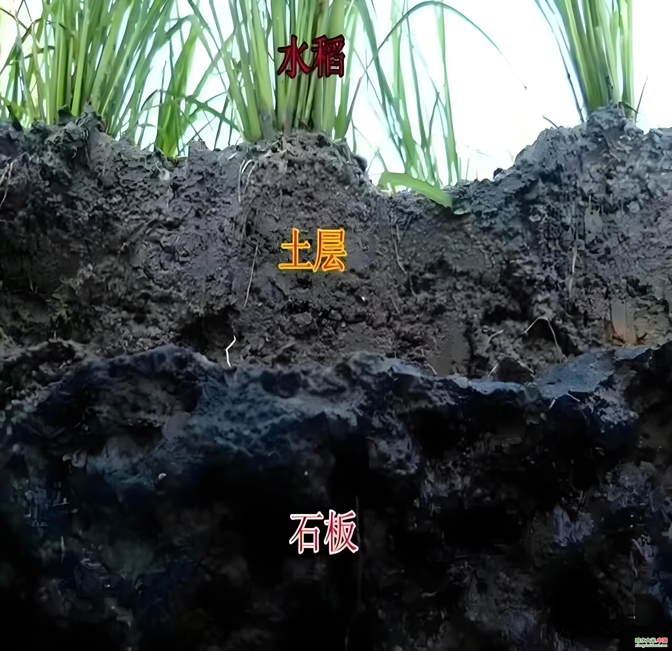 图片关键词 图片关键词